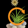Unlimited Lawn Care & Landscaping