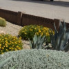Execu-Care Property Maintenance