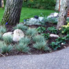 Field Landscaping