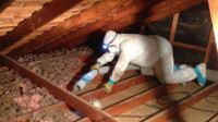 Insulation Removal