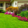 Advantage Lawn & Landscaping