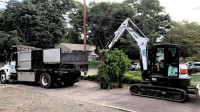 Removals & Clearings