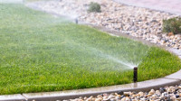Irrigation & Lighting