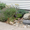 Wild Rose Landscape Design