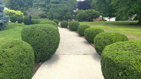 Seasonal Pruning