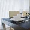 Vision Blinds