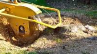 Stump Grinding