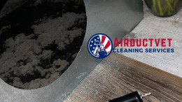 Plenum Box Cleaning
