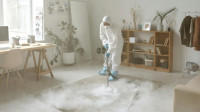 Carpet Cleaning