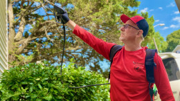 Pest Control Chesapeake