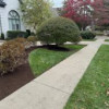 CA Calderon Landscaping